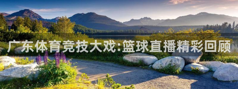 永盈彩票移动端下载：广东体育竞技大戏:篮球直播精彩回顾