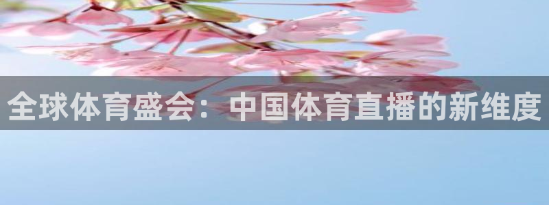永盈彩票官网登录下载app,：全球体育盛会：中国体育直播的新维度