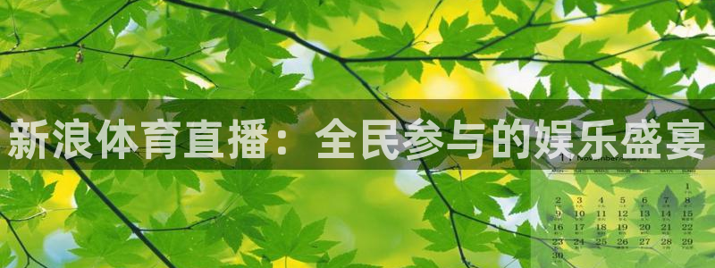 永盈彩票官网登录下载app,：新浪体育直播：全民参与的娱乐盛宴