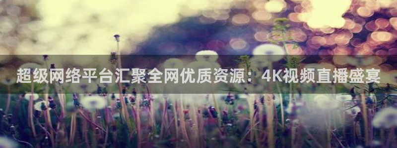 永盈彩票官网登录下载app,：超级网络平台汇聚全网优质资源：4K视频直播盛宴