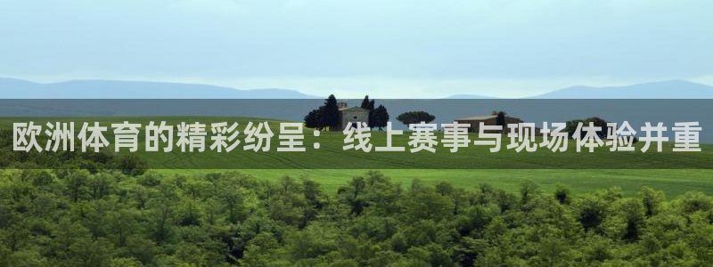 资源整合平台,：欧洲体育的精彩纷呈：线上赛事与现场体验并重