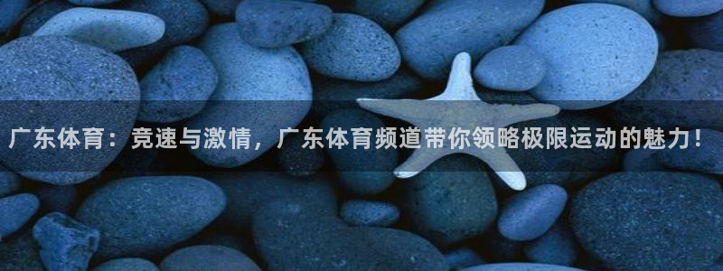 永盈彩票移动端下载：广东体育：竞速与激情，广东体育频道带你领略极限运动的魅力！