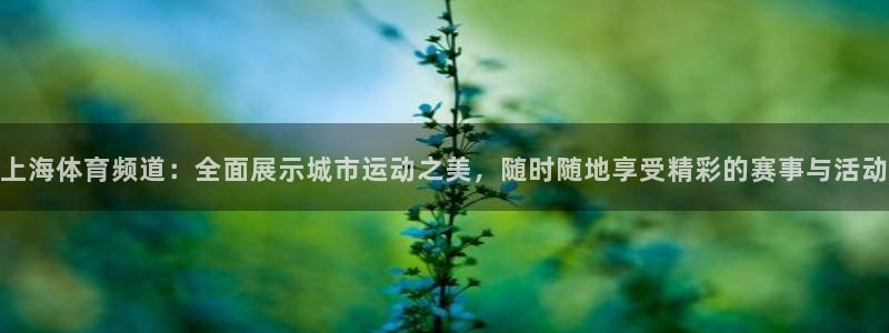 永盈彩票app下载安装：上海体育频道：全面展示城市运动之美，随时随地享受精彩的赛事与活动